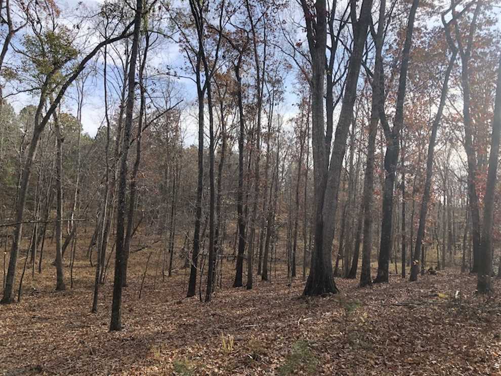 105 Acres of Land for sale in fairfield County, South Carolina