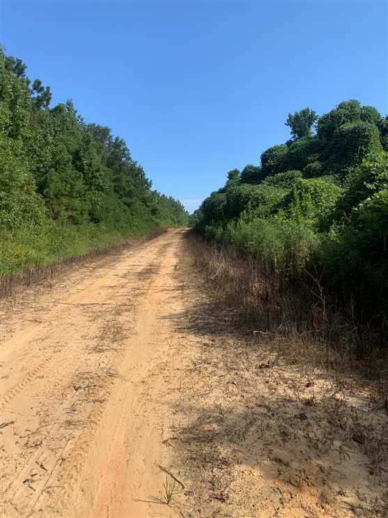 Houses and land for sale in Mississippi