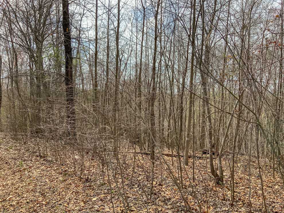 Land for sale at Goose Creek Rd