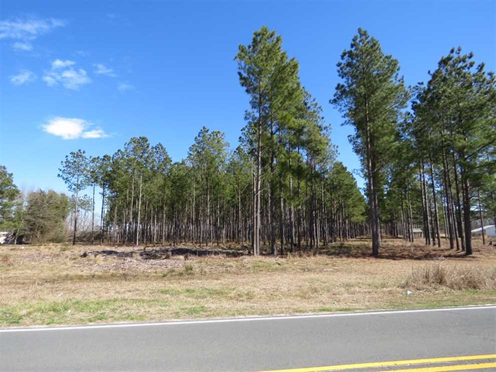 12.88 Acres of Residential land for sale in Orrum, robeson County, North Carolina