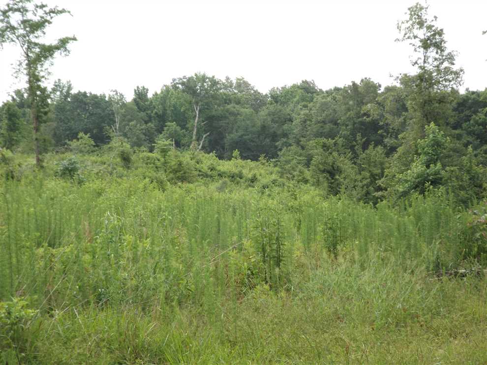 Land for sale at Ashley CR 69