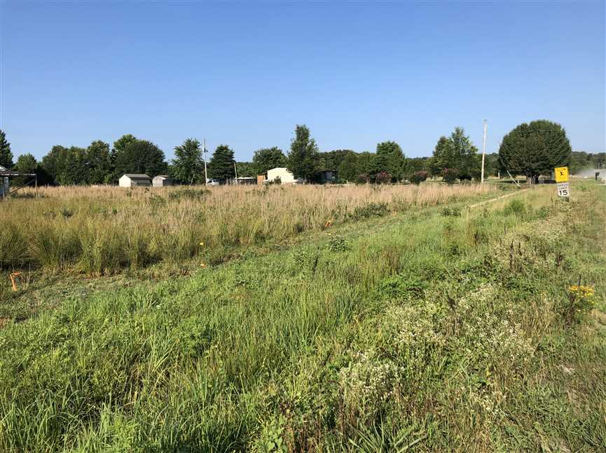 Land for sale at
