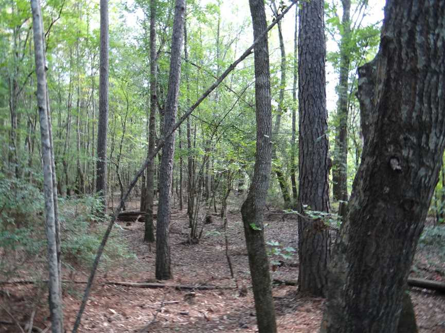 Houses and land for sale in Louisiana