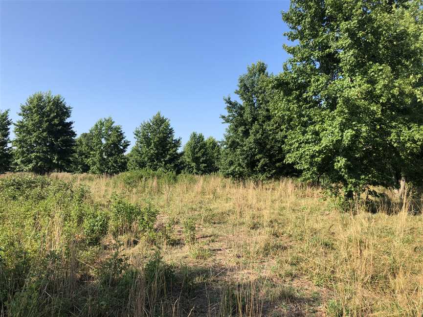 5 Acres of Land for sale in white County, Arkansas