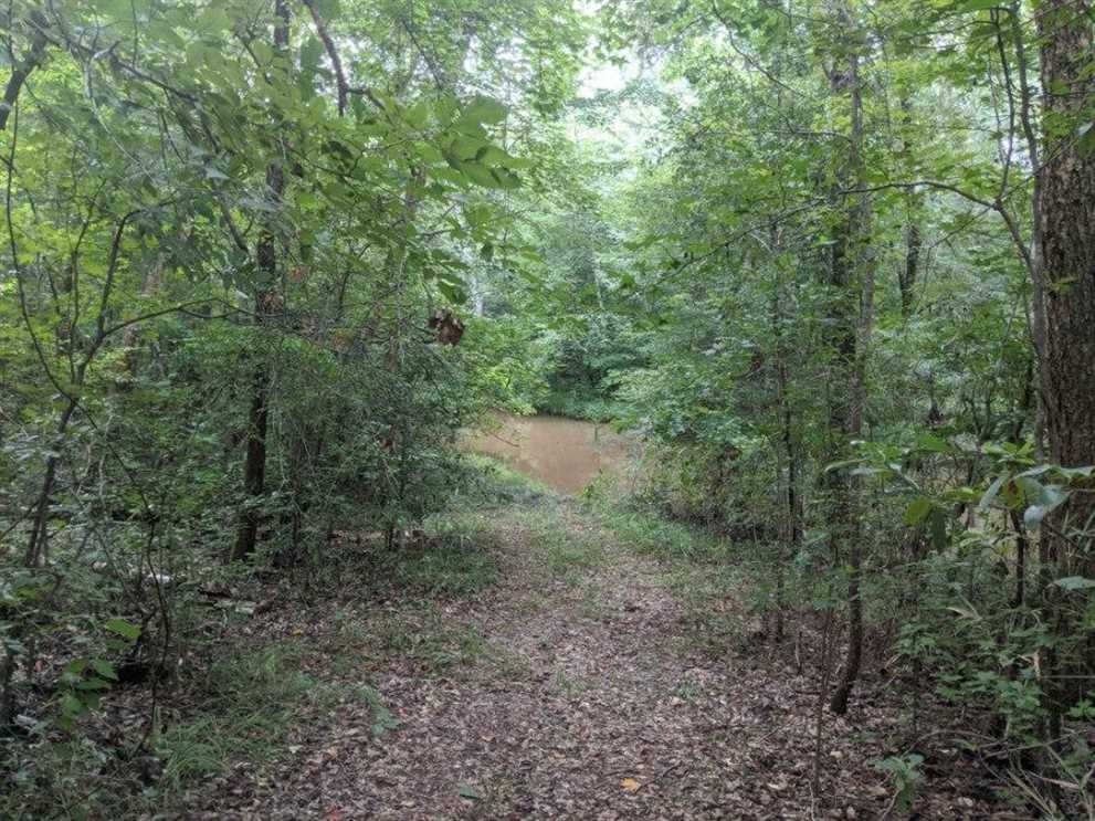 60.49 Acres of Residential land for sale in Ivey, wilkinson County, Georgia