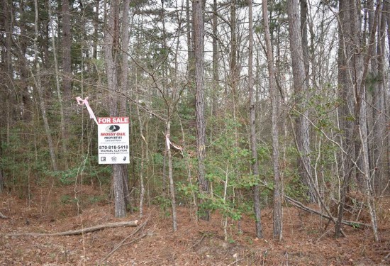 40 Acres of Land for Sale in nevada County Arkansas