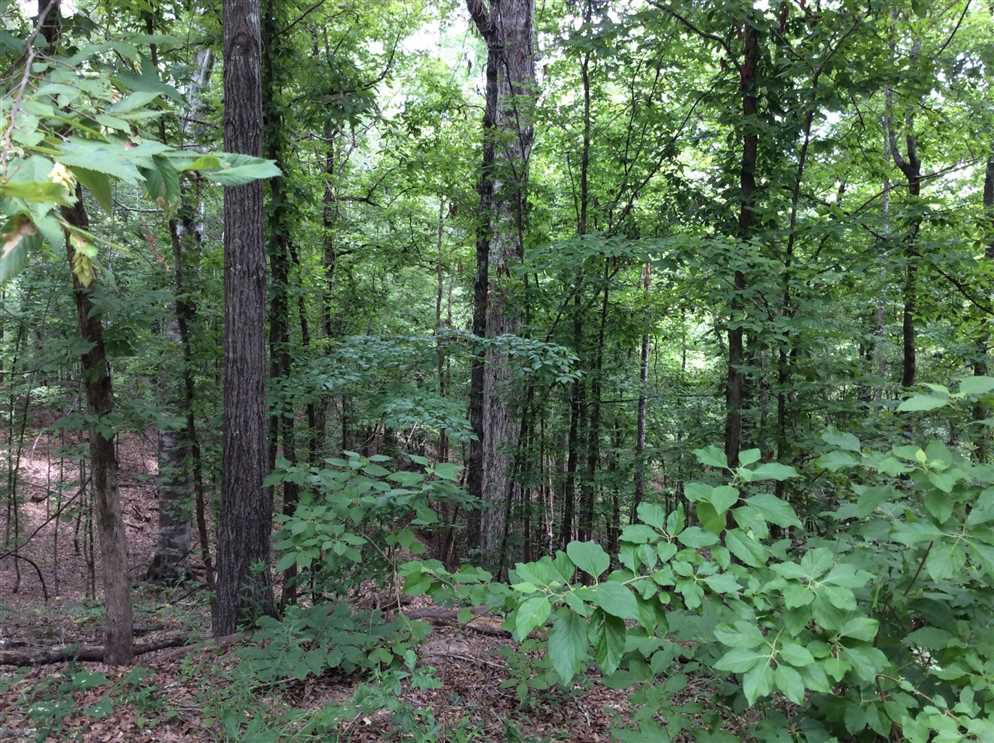 Land for sale at