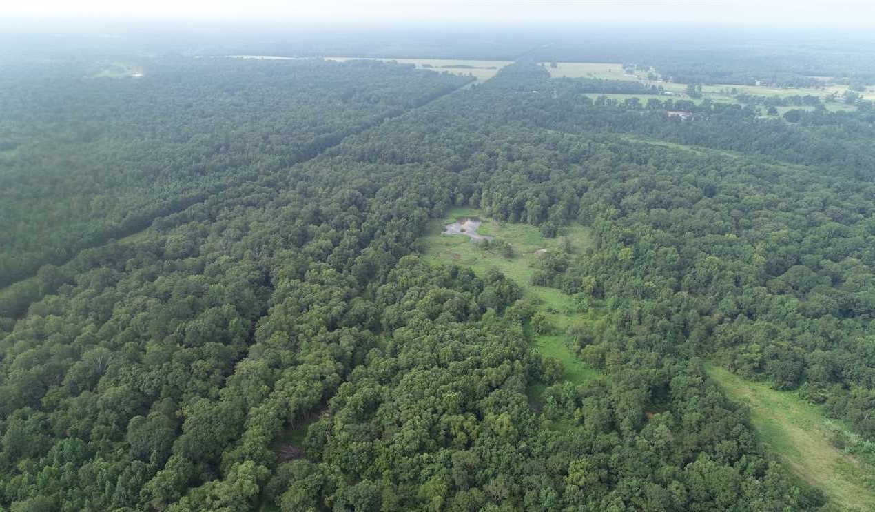 718 Acres of Recreational land for sale in Texarkana, miller County, Arkansas