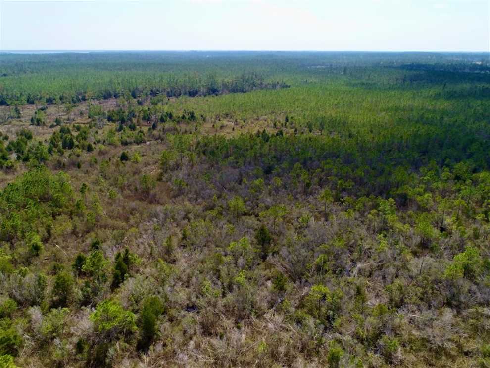 Timberland real estate available to buy