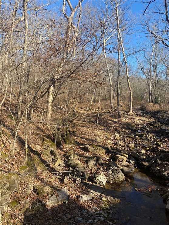 Timberland real estate available to buy