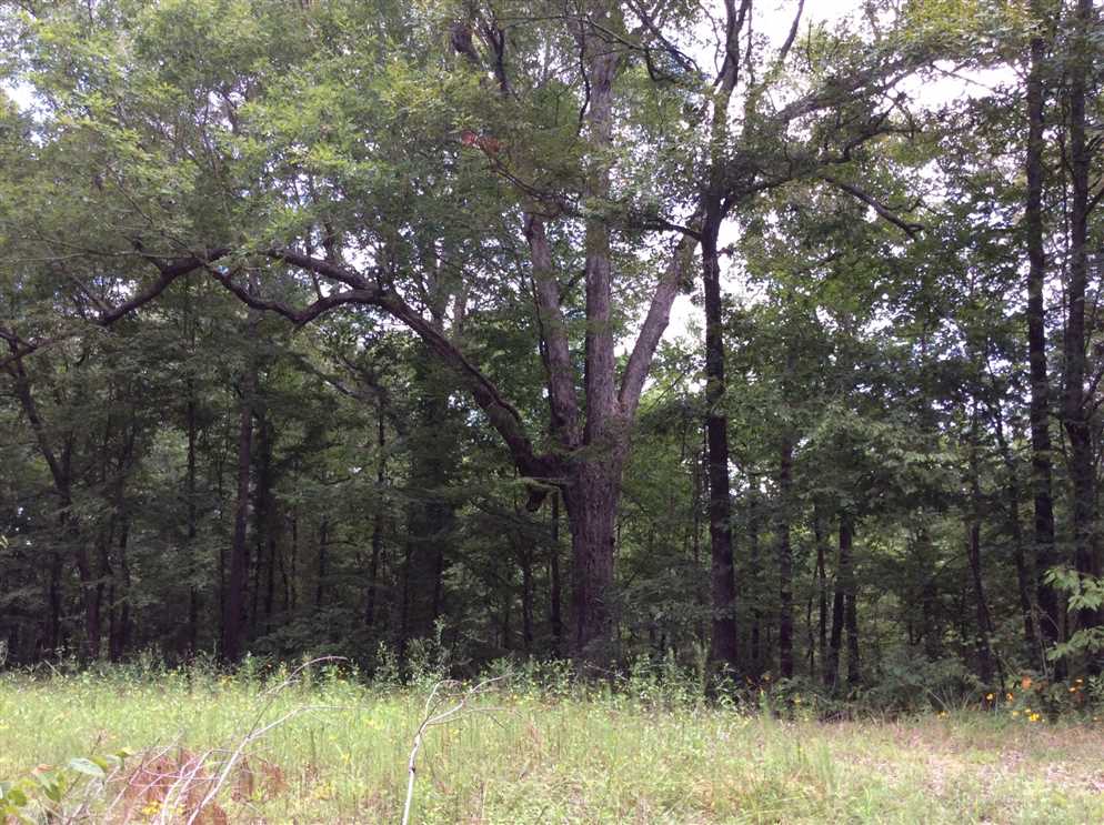Land for sale to buy in 71340 zip code