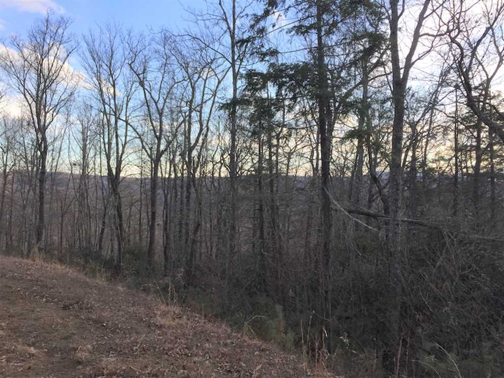 property for sale on The Land Market