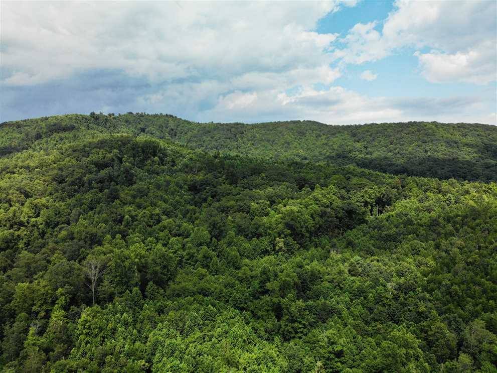 104.24 +/- Acres in Thurmond, Surry County Real estate listing