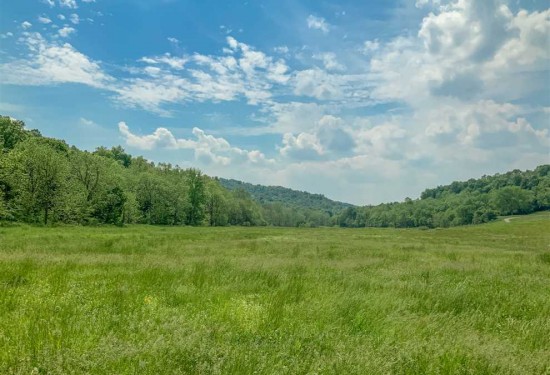 255.89 Acres of Land for Sale in noble County Ohio