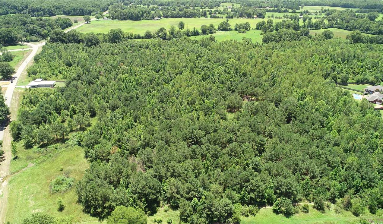 Tupelo land available for purchase