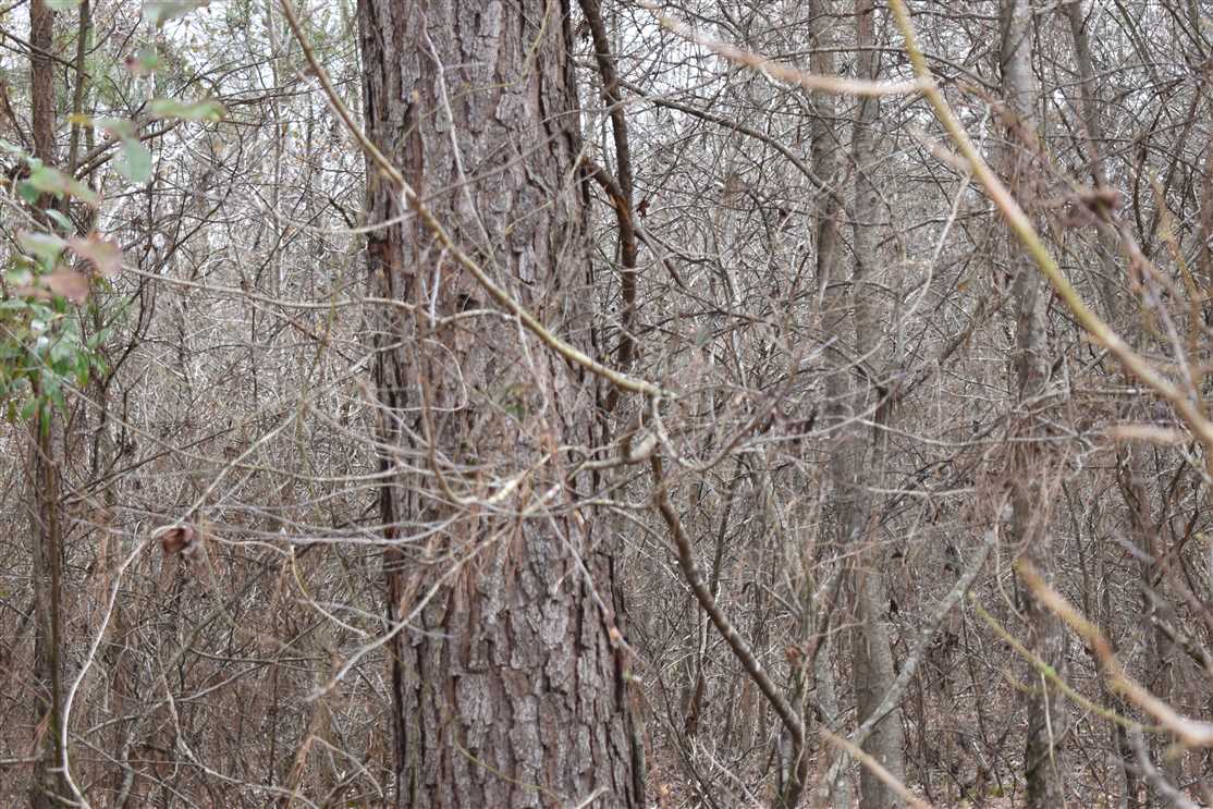 Mendenhall E Real estate listing