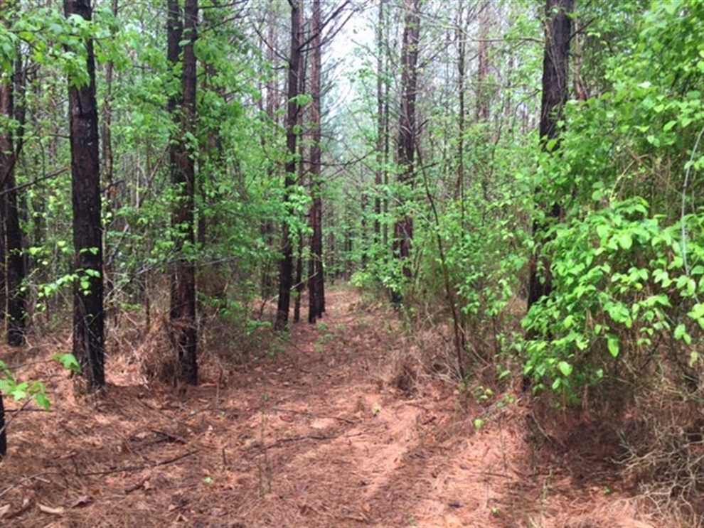 7.4 Acres of Residential land for sale in South Pittsburg, marion County, Tennessee