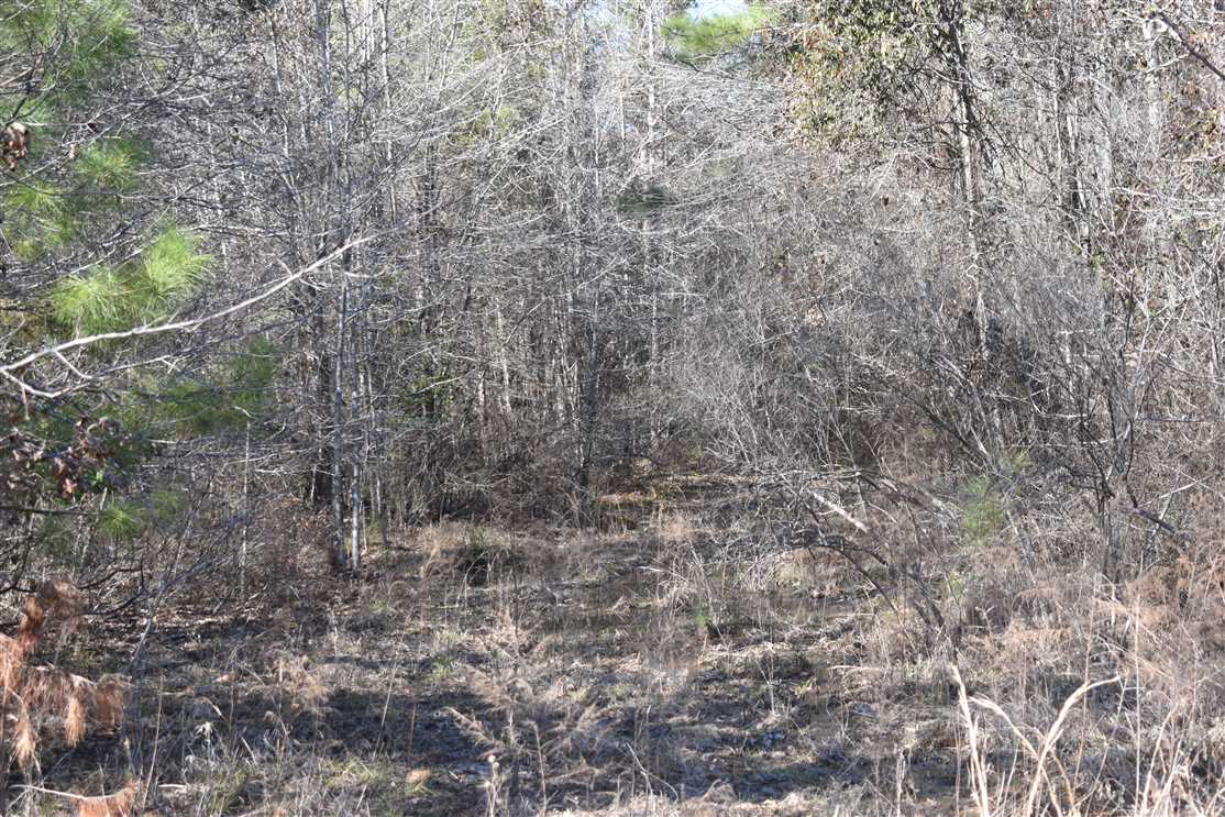 130 Acres of Land for sale in columbia County, Arkansas