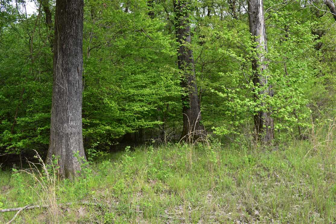 Land for sale at Nevada County Road 23