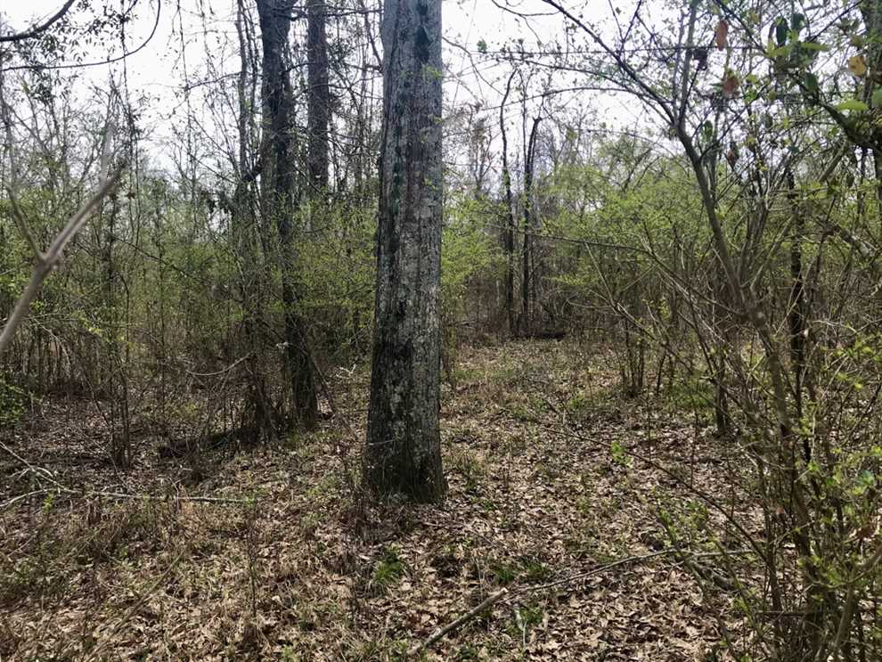 240 Acres of Land for sale in claiborne County, Mississippi
