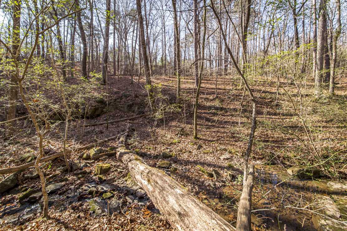 Residential and   property for sale on The Land Market