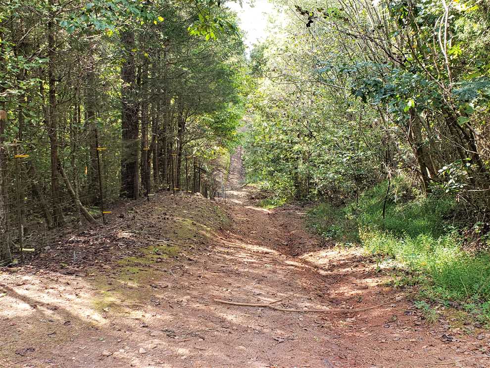 Houses and land for sale in South Carolina