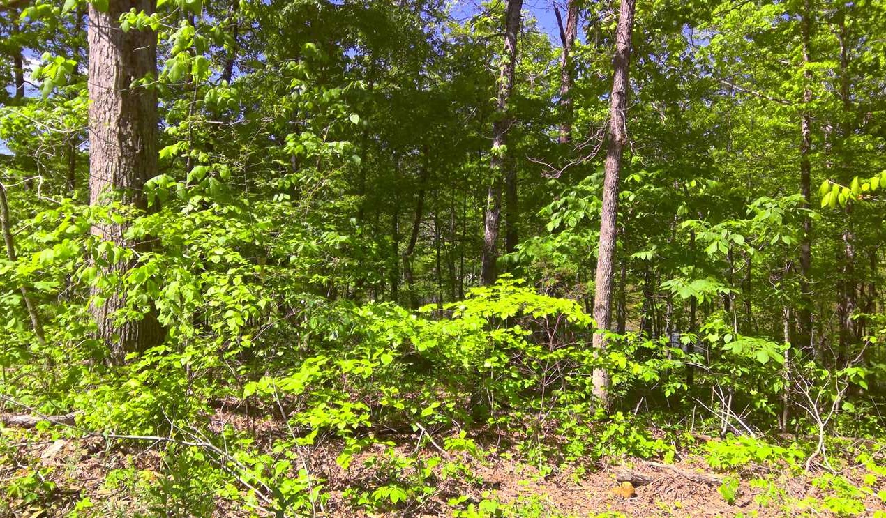 Residential land real estate to buy in sharp County AR