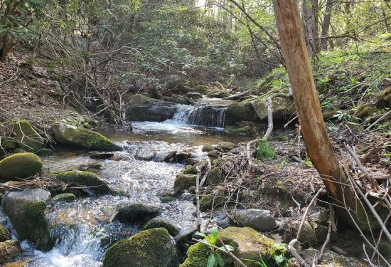 12.26 Acres of Land for Sale in caldwell County North Carolina