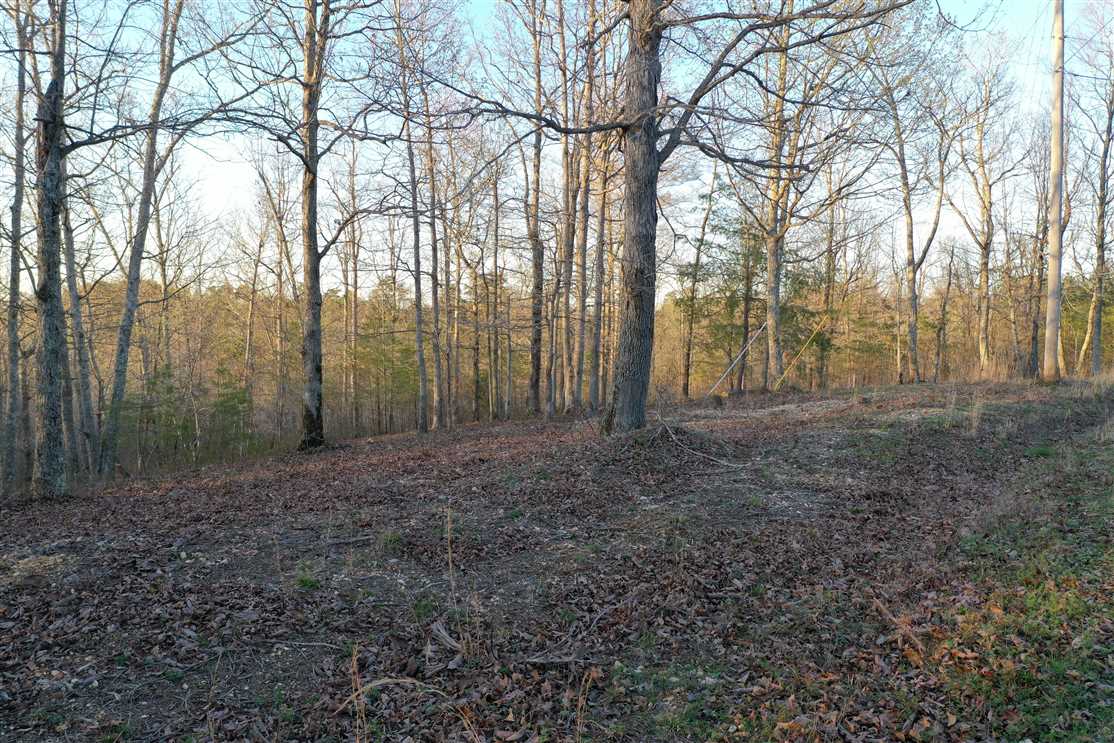 Land for sale to buy in 37185 zip code