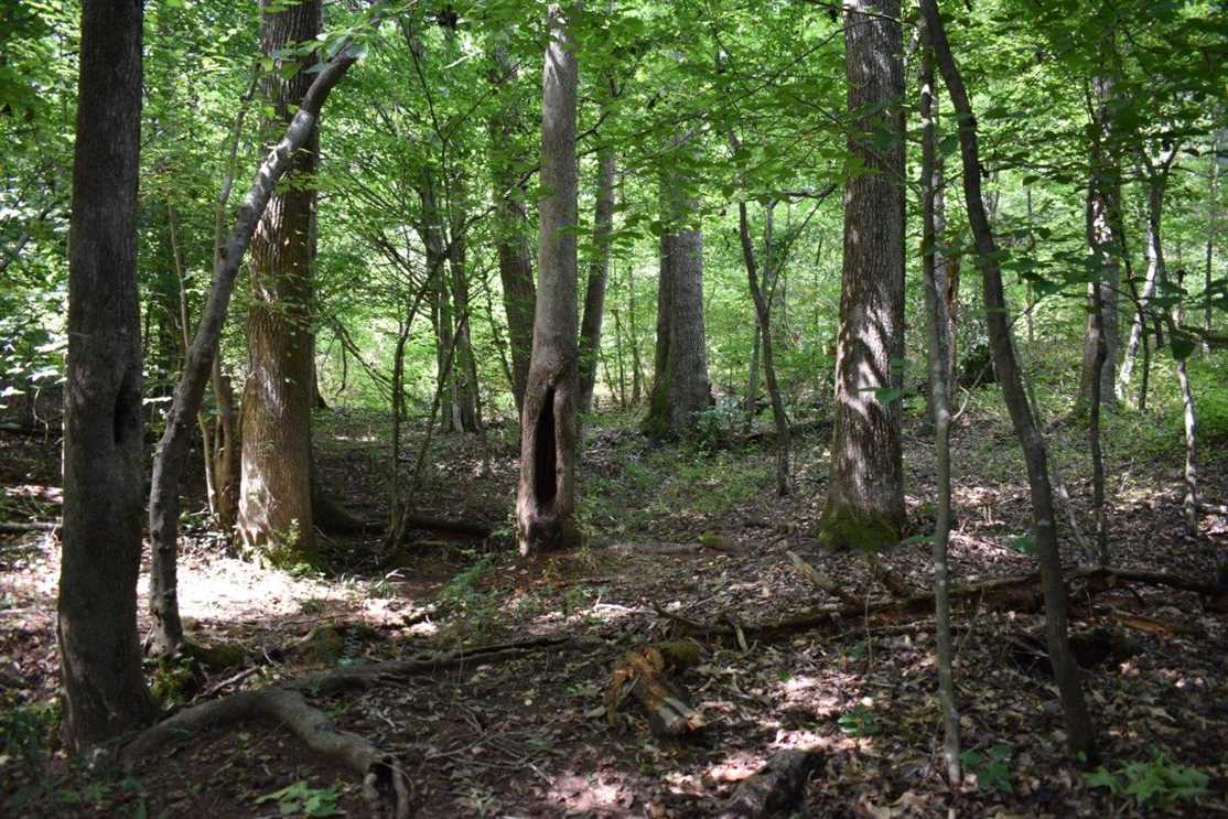 property for sale on The Land Market