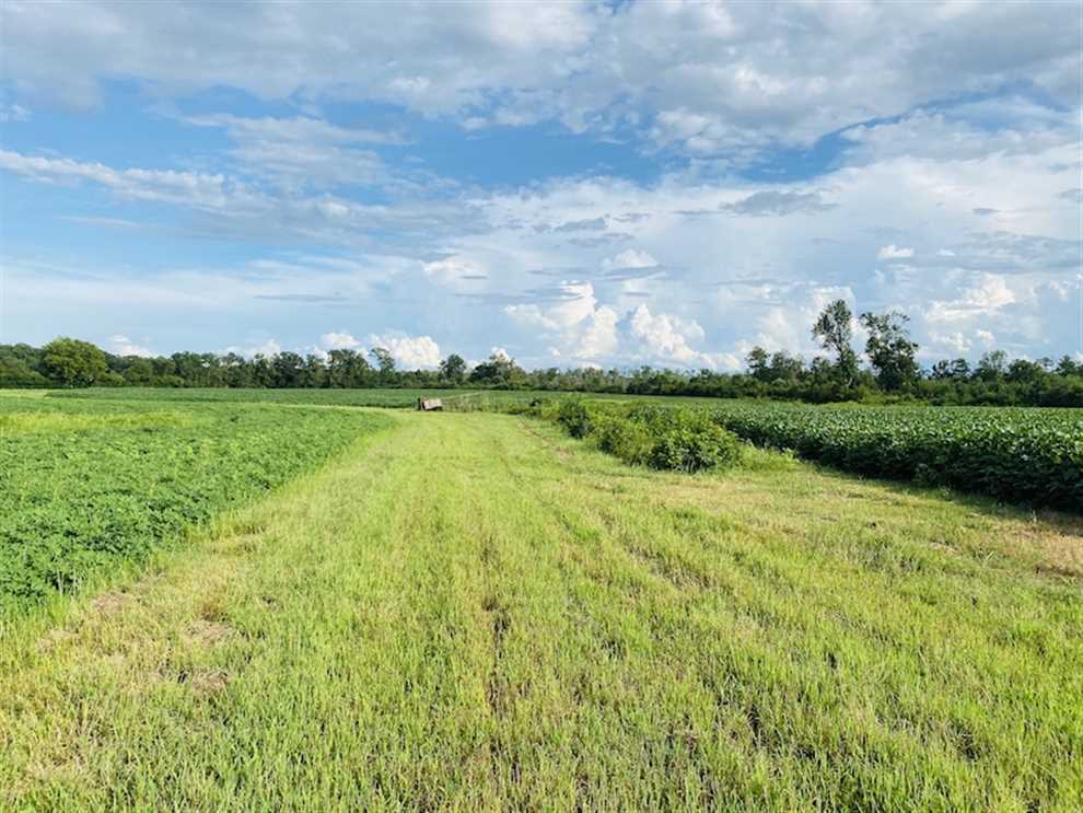 Houses and land for sale in North Carolina