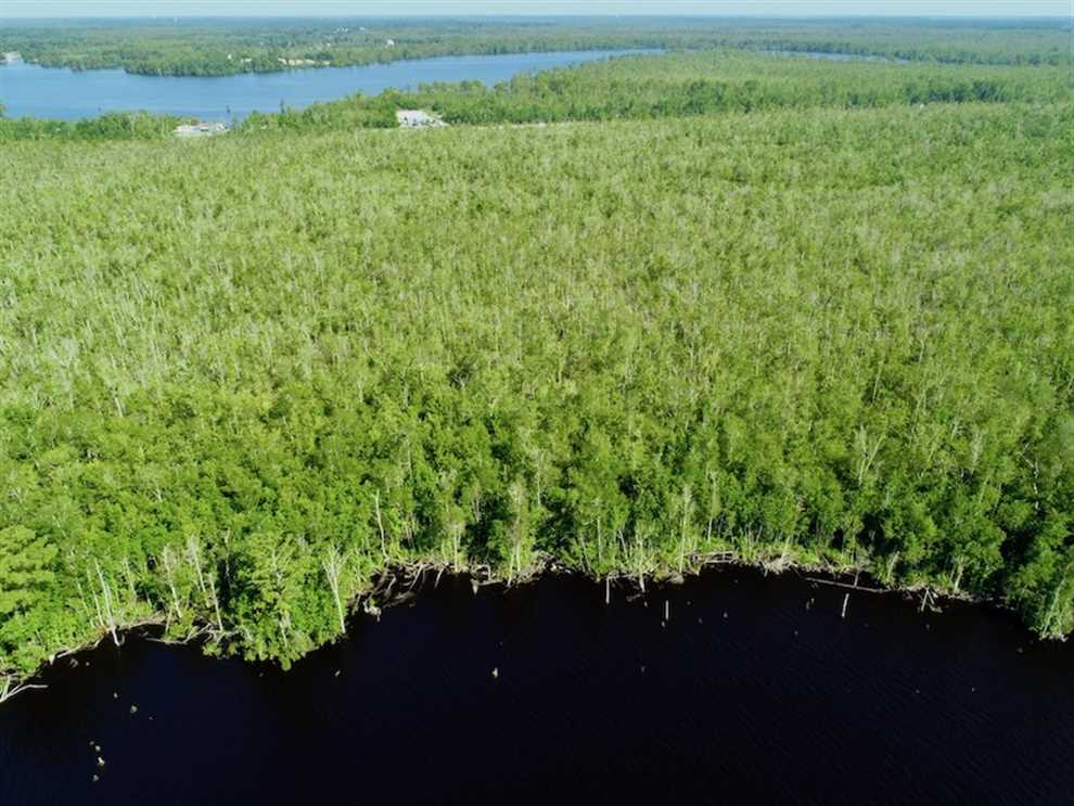 Land for sale to buy in 27921 zip code