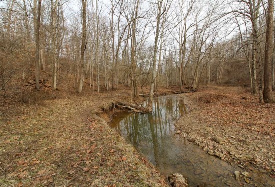 121.7 Acres of Land for Sale in muskingum County Ohio