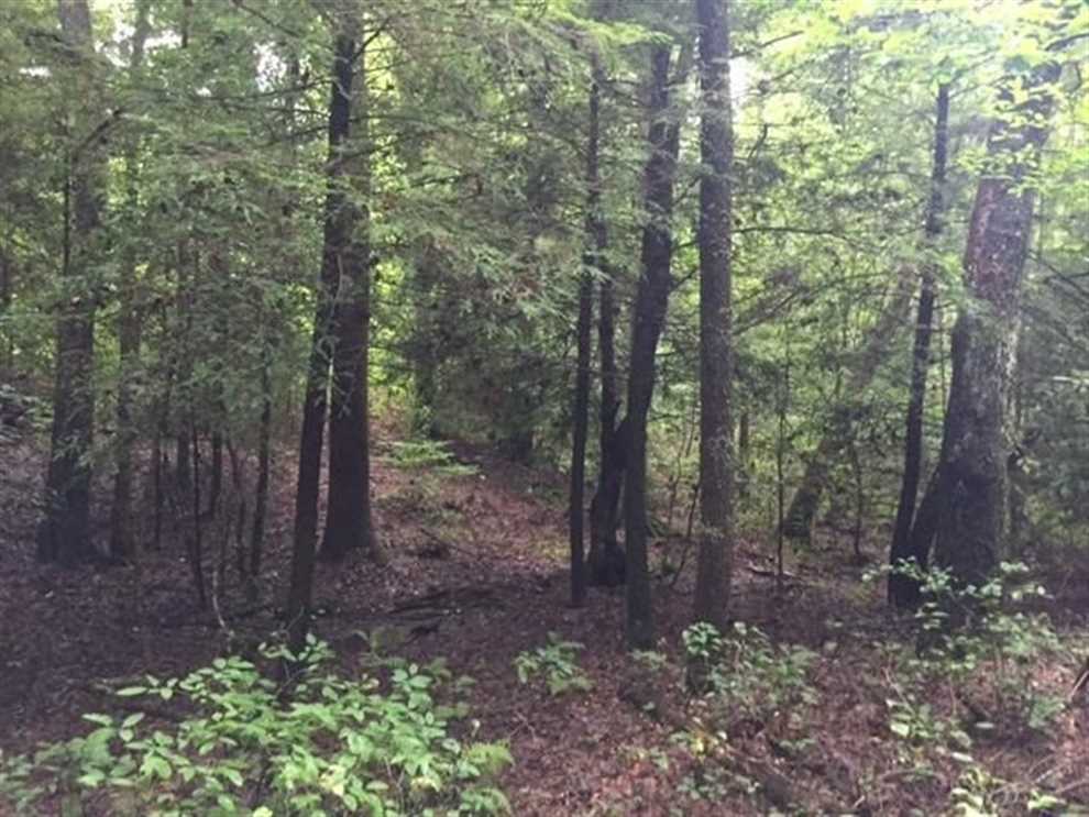 Property for sale at 625 Gizzard Creek Road