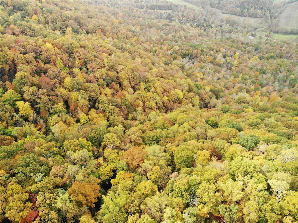 Land for sale to buy in 28711 zip code