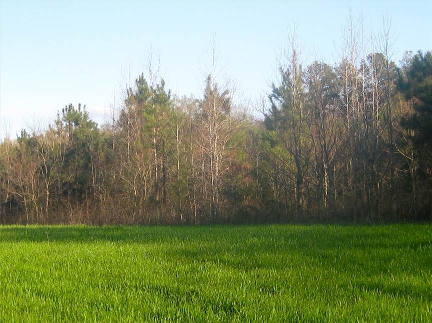 Land for sale at Hwy 411 Hwy 587
