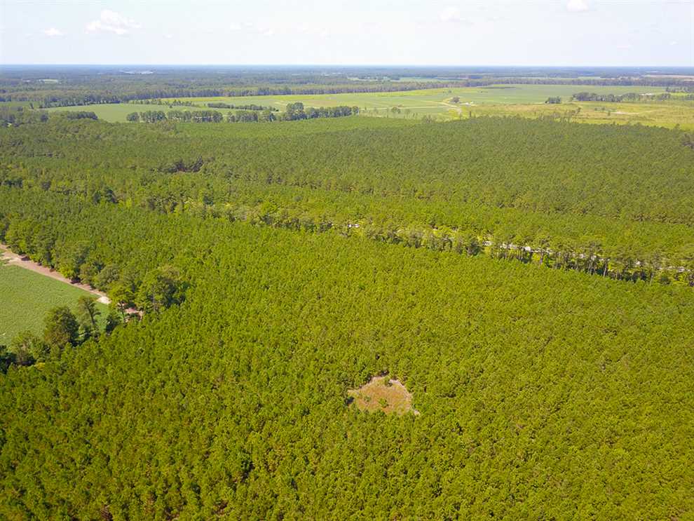 property for sale on The Land Market