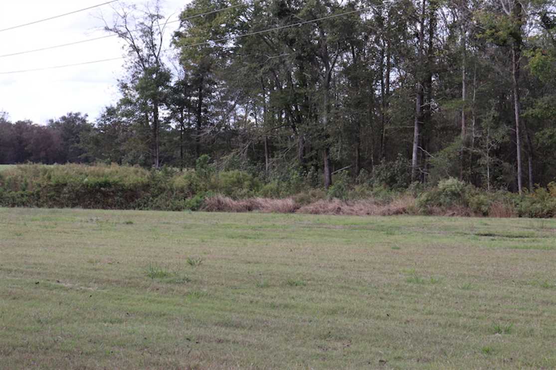 REDUCED!! 67.95 +/- acres of Pasture and Forest Land For Sale In Robeson County NC! Real estate listing