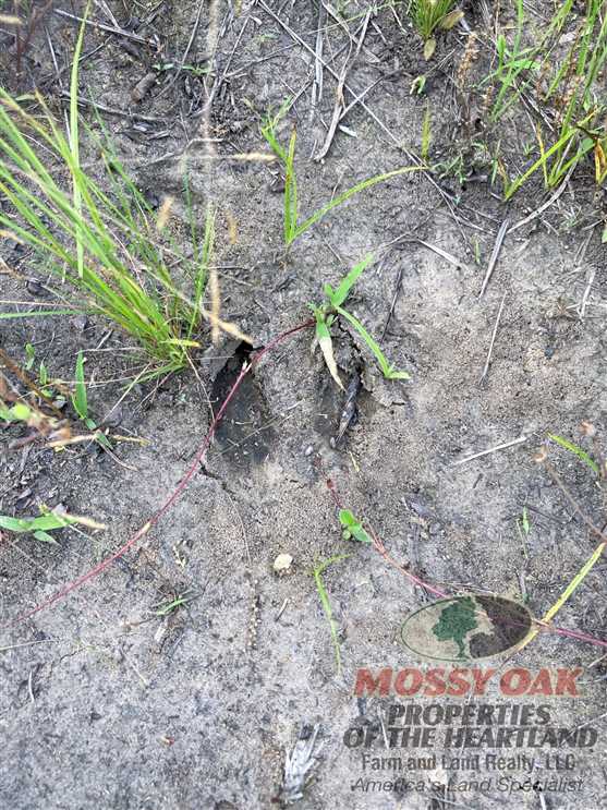 Land for sale to buy in 67344 zip code