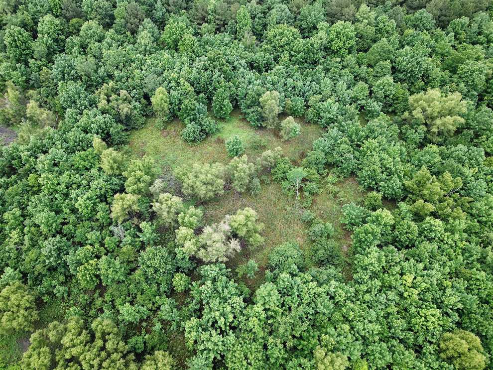 monroe County, Arkansas property for sale