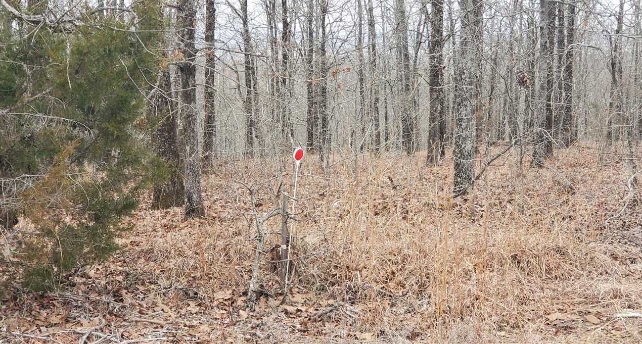 8 Acres of Land for sale in faulkner County, Arkansas