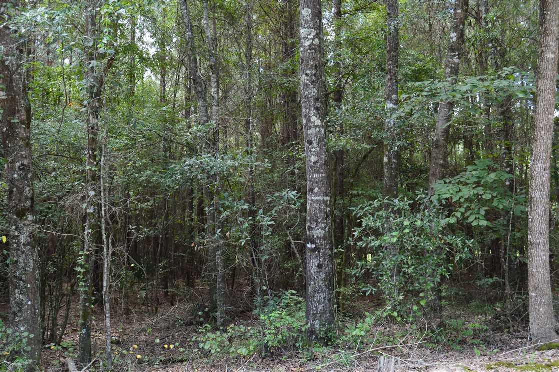 Houses and land for sale in Mississippi