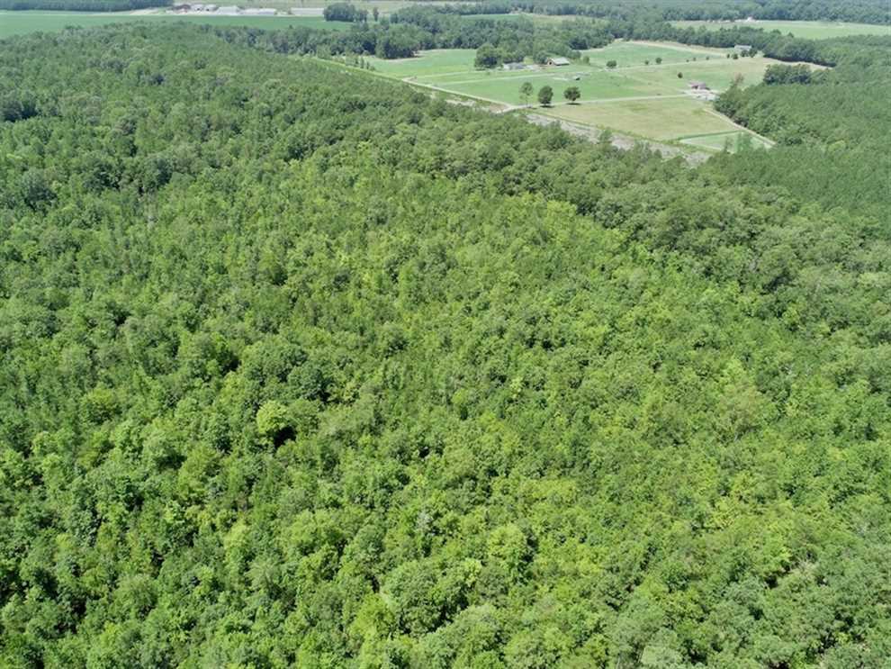 12.59 Acres of Residential land for sale in Gatesville, gates County, North Carolina