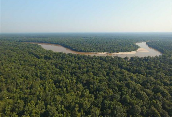 1 Acres of Land for Sale in appling County Georgia