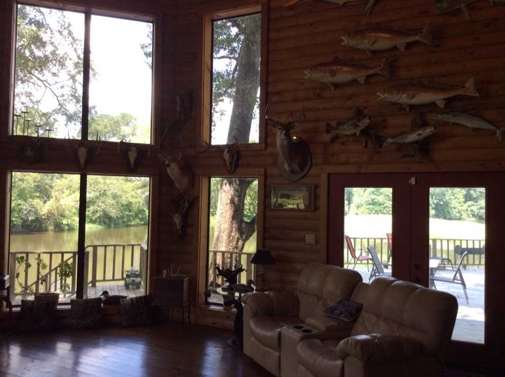 Earl Creek Tract, LaSalle Parish, 80 Acres +/- Real estate listing