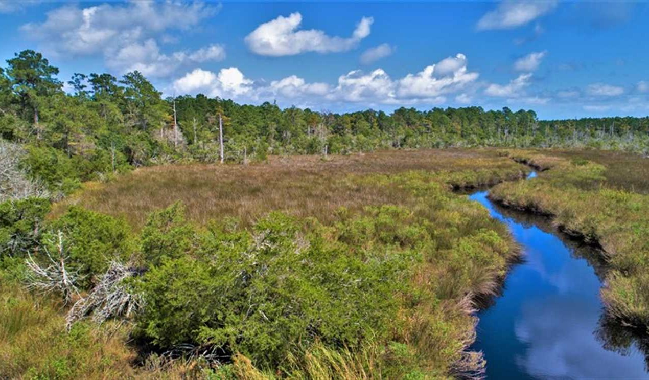 17.82 Acres of Land for sale in pamlico County, North Carolina