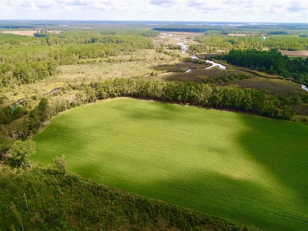 33 Acres of Land for Sale in pamlico County, North Carolina