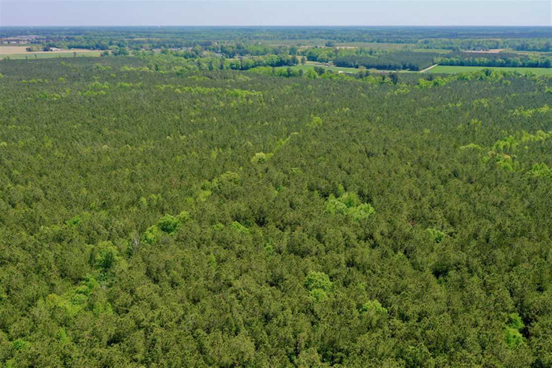 17.7 Acres of Recreational land for sale in Saint John, hertford County, North Carolina