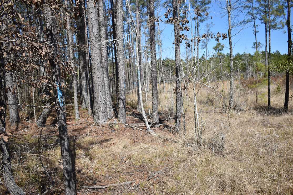 MORO NE Real estate listing