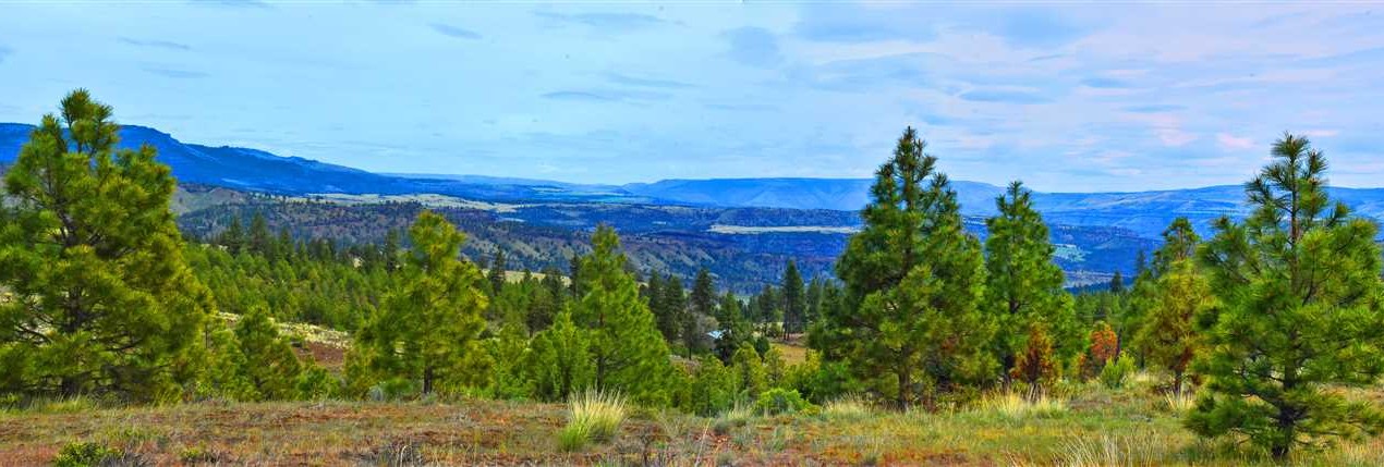240 Acres of Land for Sale in wheeler County Oregon